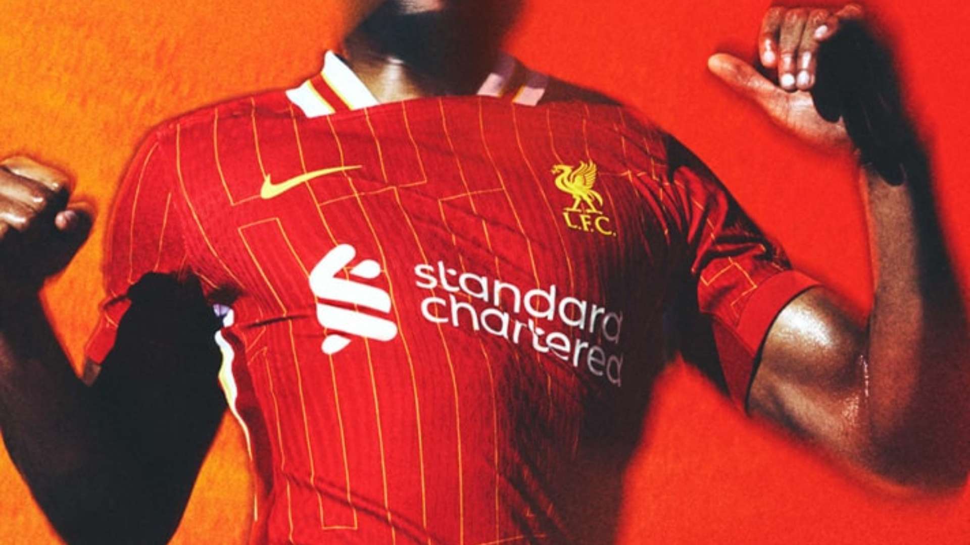 自信力量 自信力量