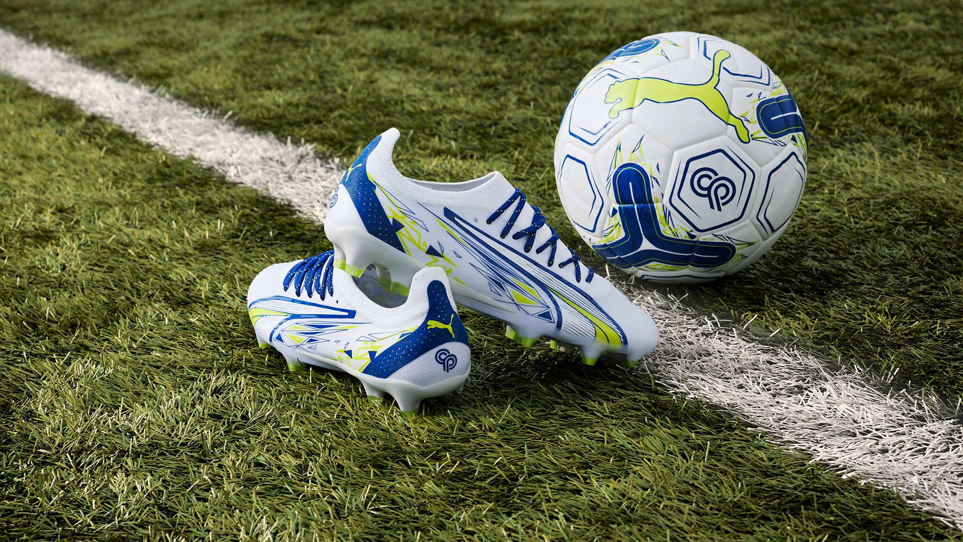 可以让球迷 可以让球迷