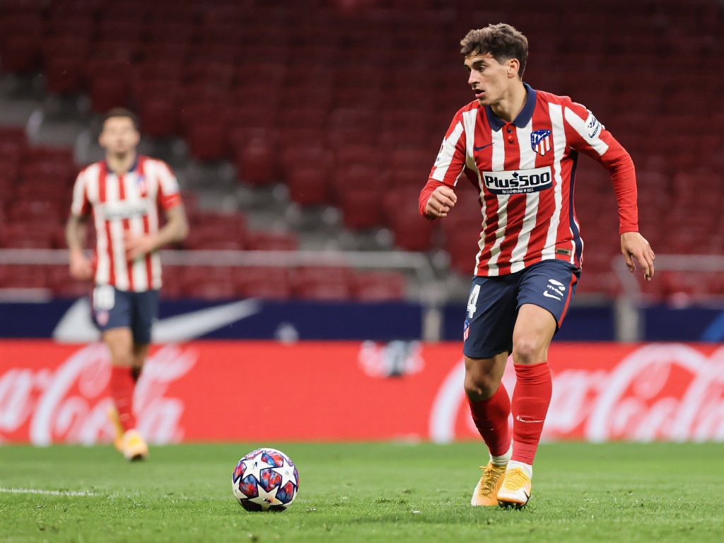 乐部在转会 乐部在转会